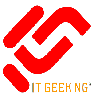 IT GEEK NG